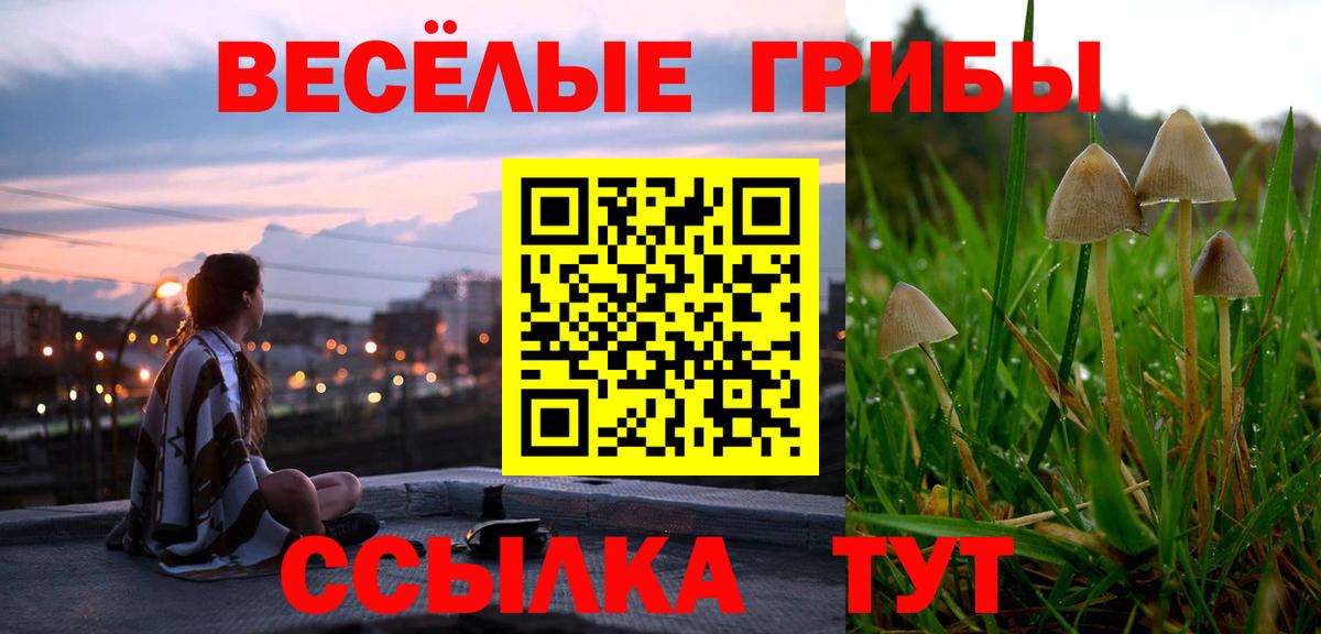 Галлюциногенные грибы мицелий  Вход с VPN  как найти закладки  Псилоцибиновые грибы прущие грибы  Тихорецк 